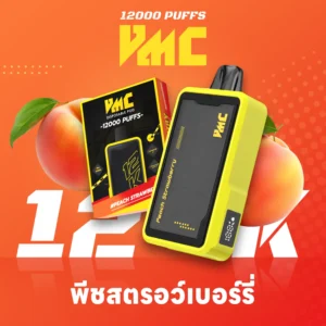 VMC 12000 Puffs กลิ่น Funta Grape